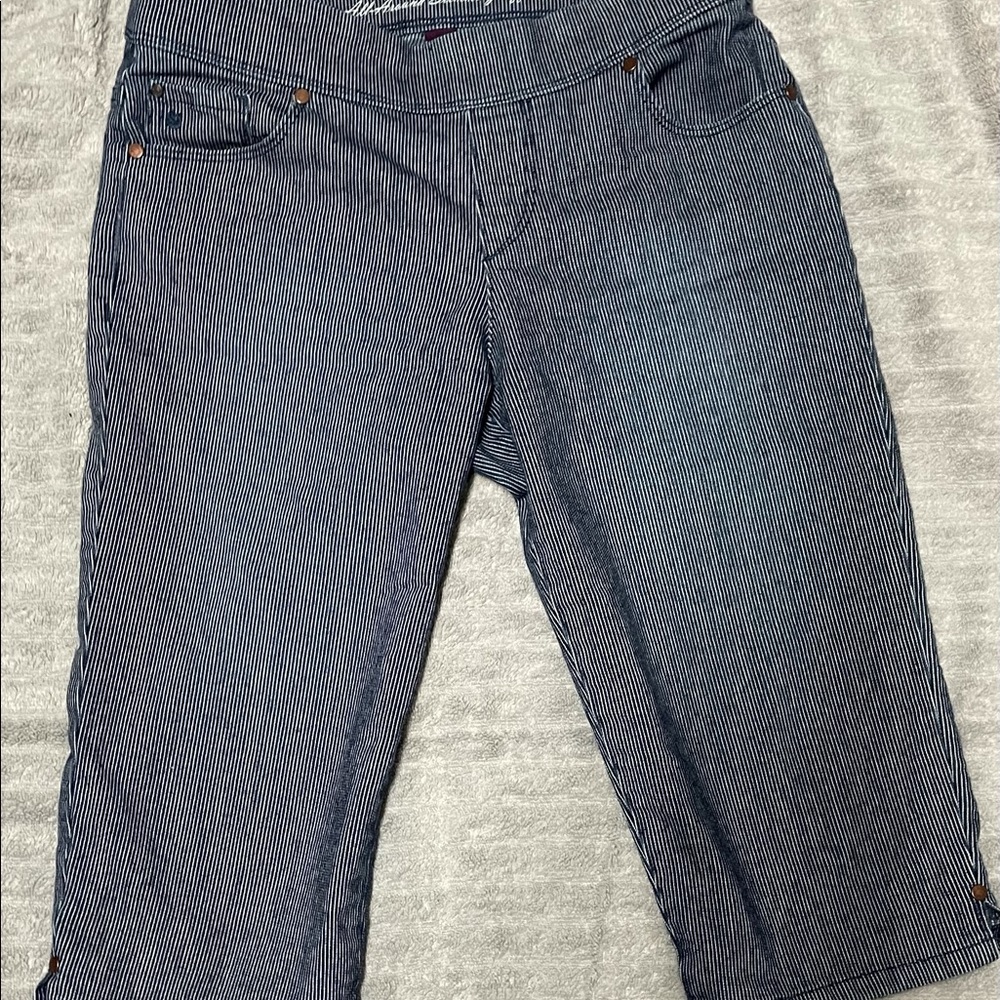 Gloria Vanderbilt blue Jean stripe shorts